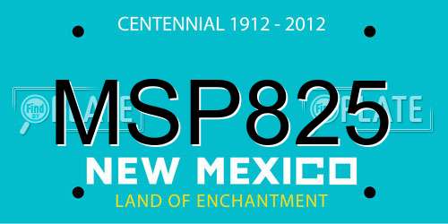 MSP825 New Mexico License Plate