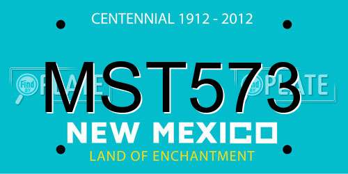 MST573 New Mexico License Plate