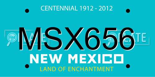 MSX656 New Mexico License Plate