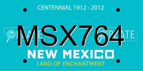MSX764 New Mexico License Plate