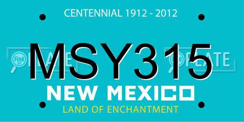 MSY315 New Mexico License Plate