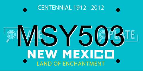MSY503 New Mexico License Plate
