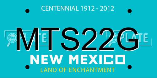 MTS22G New Mexico License Plate