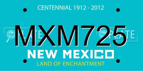 MXM725 New Mexico License Plate