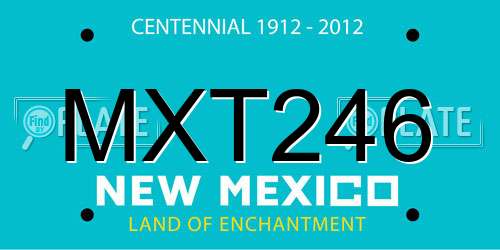 MXT246 New Mexico License Plate