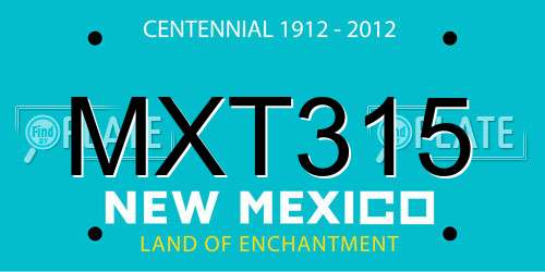 MXT315 New Mexico License Plate