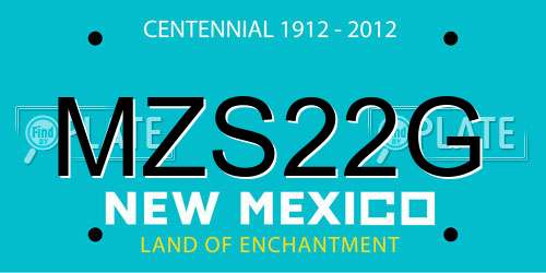 MZS22G New Mexico License Plate