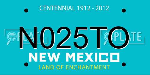 N025TO New Mexico License Plate