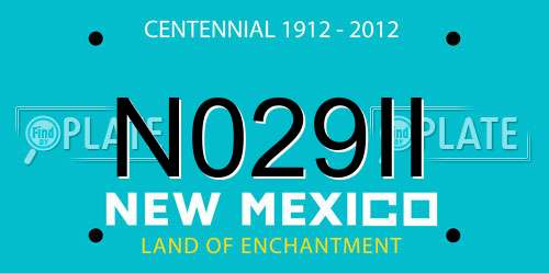 N029II New Mexico License Plate