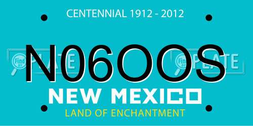 N06OOS New Mexico License Plate
