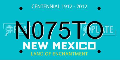 N075TO New Mexico License Plate