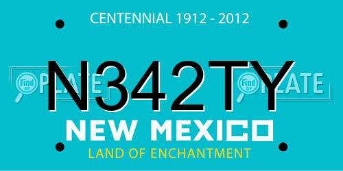 N342TY New Mexico License Plate