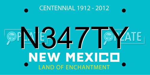 N347TY New Mexico License Plate