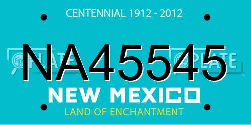 NA45545 New Mexico License Plate