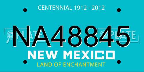 NA48845 New Mexico License Plate
