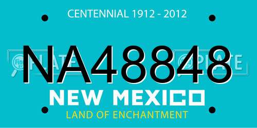 NA48848 New Mexico License Plate