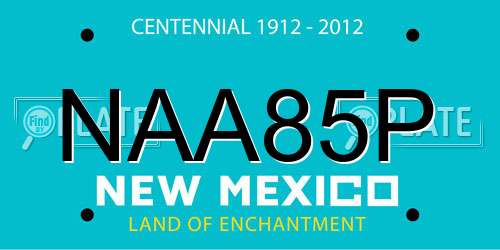 NAA85P New Mexico License Plate
