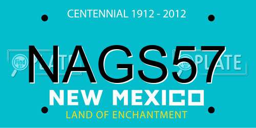 NAGS57 New Mexico License Plate
