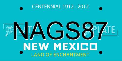 NAGS87 New Mexico License Plate