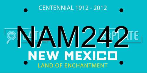 NAM242 New Mexico License Plate