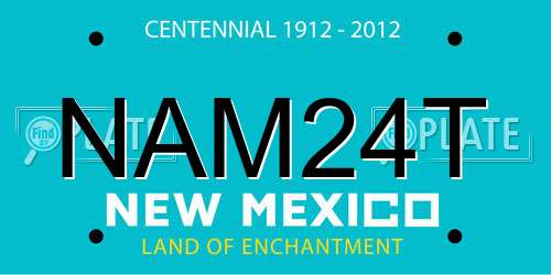 NAM24T New Mexico License Plate
