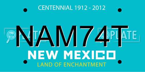 NAM74T New Mexico License Plate