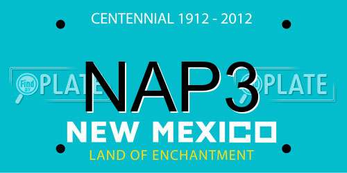 NAP3 New Mexico License Plate
