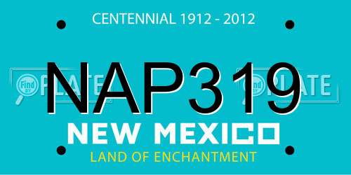 NAP319 New Mexico License Plate