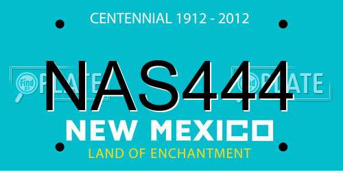 NAS444 New Mexico License Plate