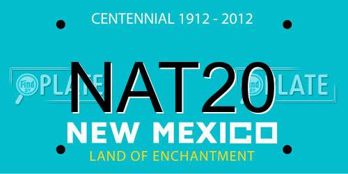 NAT20 New Mexico License Plate