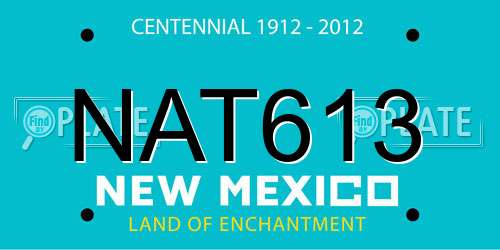 NAT613 New Mexico License Plate