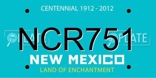 NCR751 New Mexico License Plate