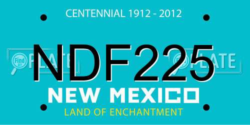 NDF225 New Mexico License Plate