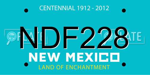 NDF228 New Mexico License Plate