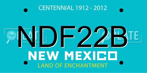 NDF22B New Mexico License Plate