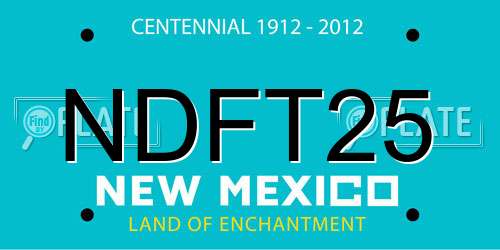 NDFT25 New Mexico License Plate