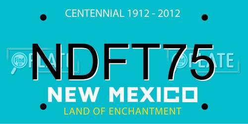 NDFT75 New Mexico License Plate