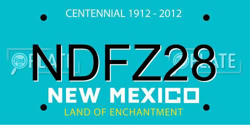 NDFZ28 New Mexico License Plate