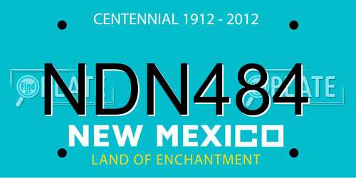NDN484 New Mexico License Plate