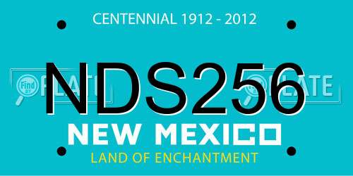 NDS256 New Mexico License Plate