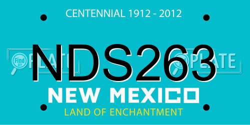 NDS263 New Mexico License Plate