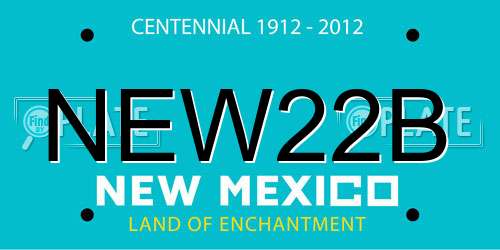 NEW22B New Mexico License Plate