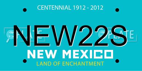 NEW22S New Mexico License Plate