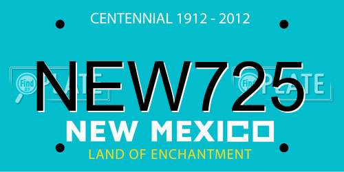NEW725 New Mexico License Plate