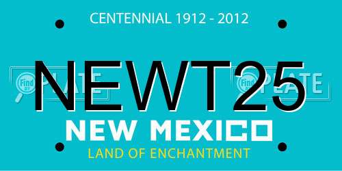 NEWT25 New Mexico License Plate