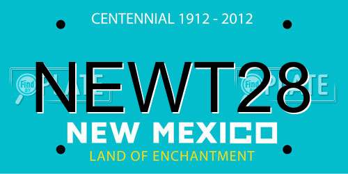 NEWT28 New Mexico License Plate