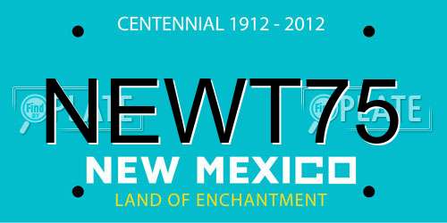 NEWT75 New Mexico License Plate