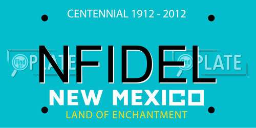 NFIDEL New Mexico License Plate