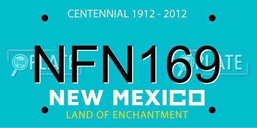 NFN169 New Mexico License Plate