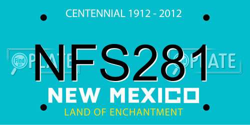 NFS281 New Mexico License Plate